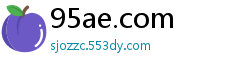 95ae.com